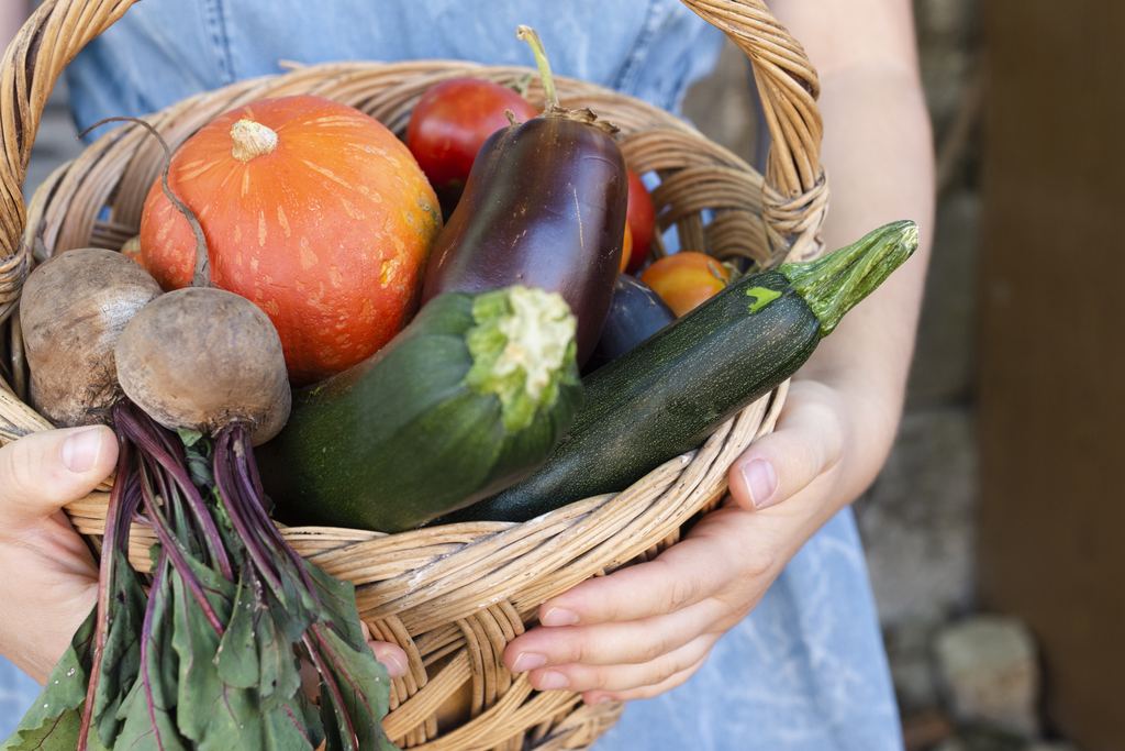 Close-up of two hands holding a wicker basket filled with pumpkin, aubergine, courgette and beetroot just picked.
