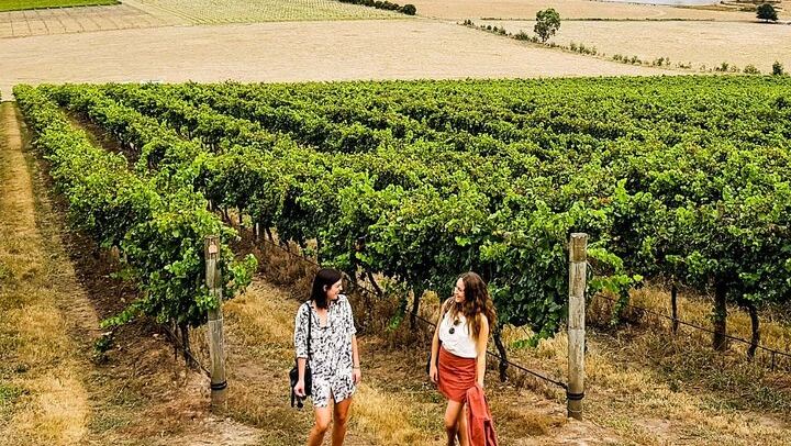 A Midday Start, a Surprise Winery, and Apple Cider