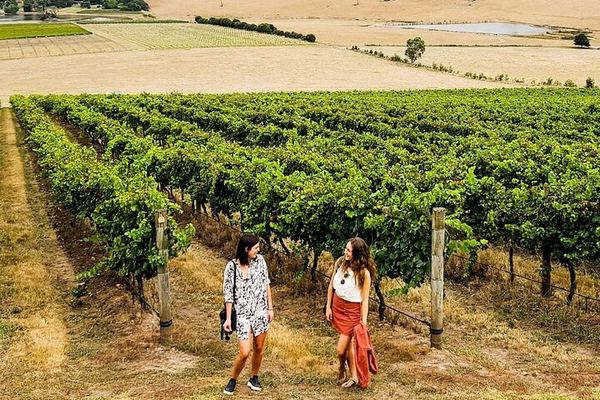 A Midday Start, a Surprise Winery, and Apple Cider