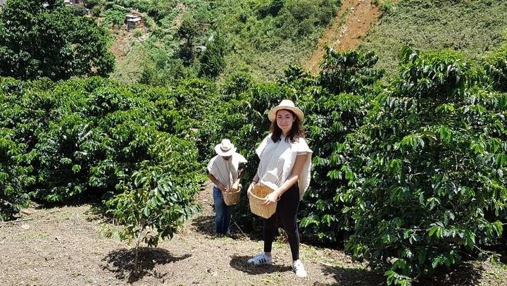 La Casa Grande Coffee Farm Day Trip from Medellín with Lunch