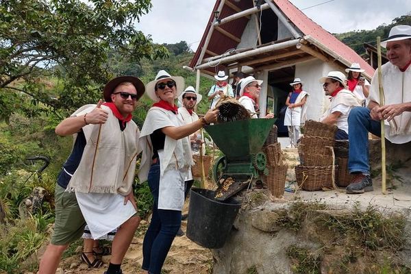 Coffee, Comuna 13 and the Cable Car in One Day