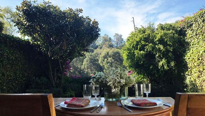 Cooking with a Culinary Historian in Her San Angel Home