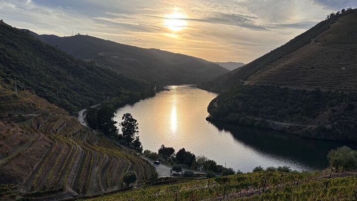 A Private Douro Day That Can Collect You in the Valley