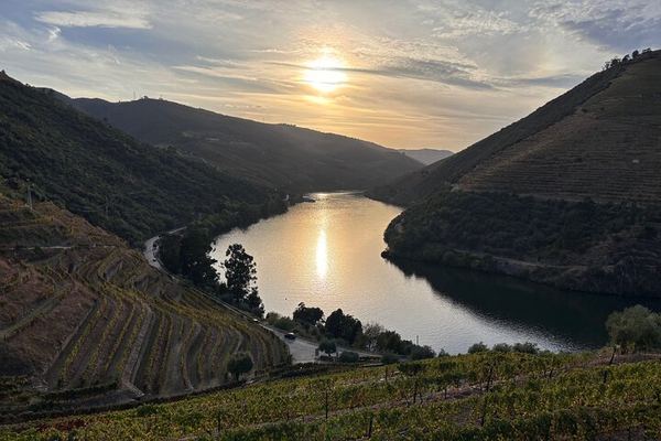 A Private Douro Day That Can Collect You in the Valley