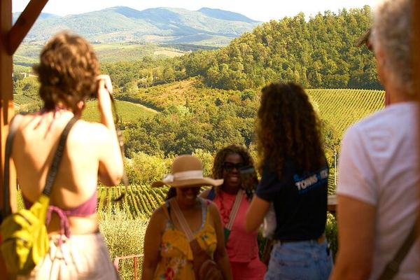 Chianti Wine and Olive Oil Tour with a Mill and Two Estates