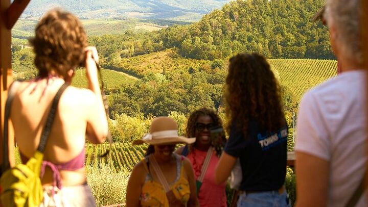 Chianti Wine and Olive Oil Tour with a Mill and Two Estates