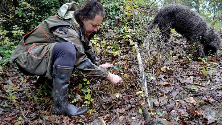 Truffle Hunting at San Miniato with Francesca and Her Dog