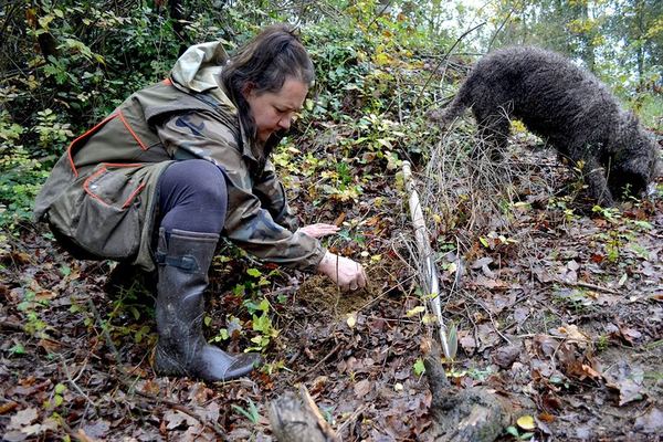 Truffle Hunting at San Miniato with Francesca and Her Dog
