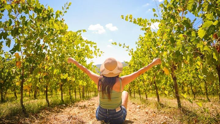Chianti Vineyard Escape: Two Estates and the Black Rooster