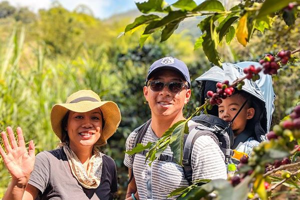 A Coffee Farm Inside the City, Then the Roastery Lab