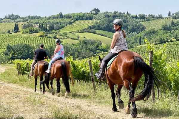 Chianti on Horseback, San Gimignano and a Winery Lunch