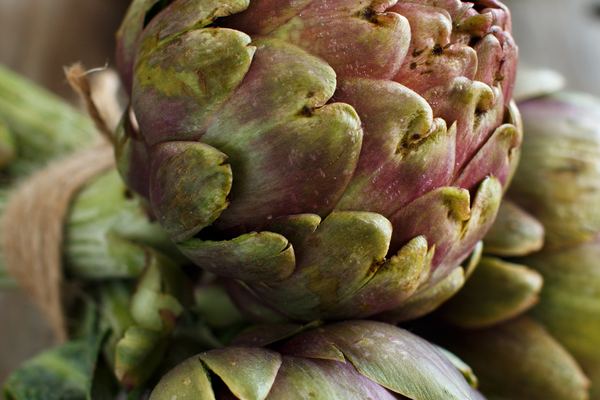 Rome Food Tours