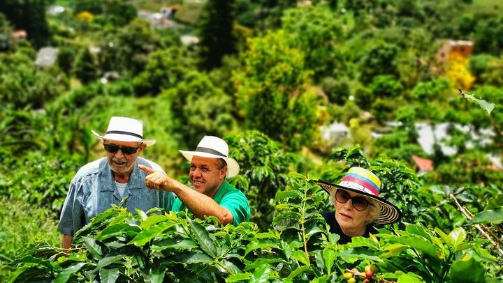 Twelve Hours to Jardin: Picking, Lunch and the Cable Car