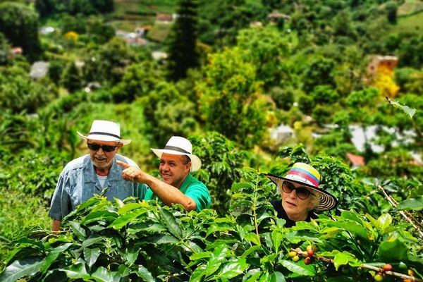 Twelve Hours to Jardin: Picking, Lunch and the Cable Car