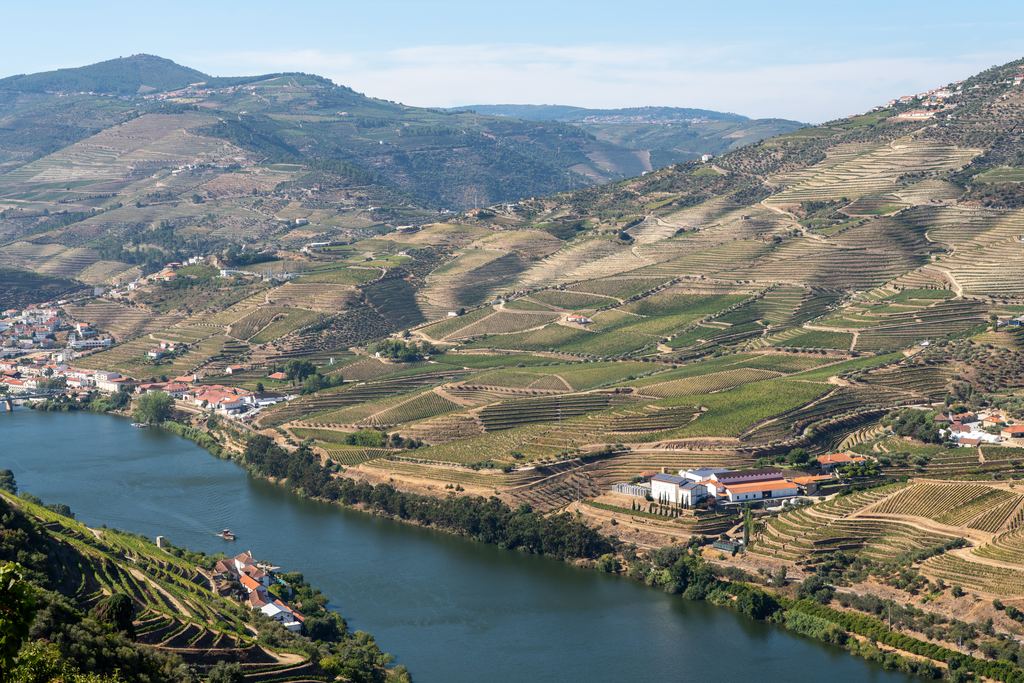 Terraced vineyards for port wine production on the hillsides of the Douro valley, Portugal