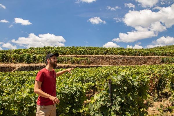 Two Quintas, Six Wines and Fifty Minutes on a Rabelo