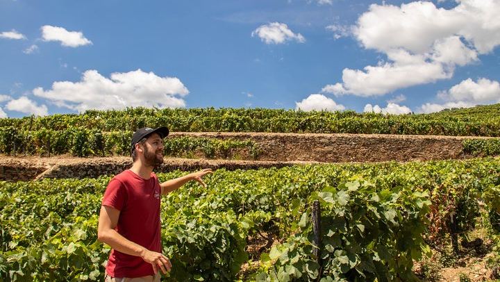 Two Quintas, Six Wines and Fifty Minutes on a Rabelo