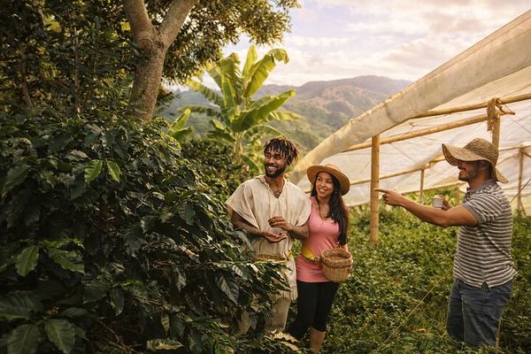 Same Beans, Same Water, Different Method: a Private Finca