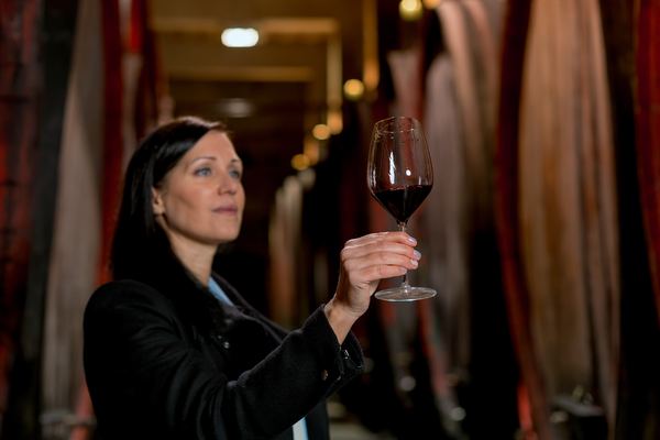 Florence Wine Tours